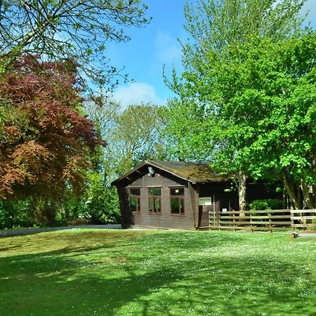37 Trevithick Court, Tolroy Manor Villa Hayle Bagian luar foto